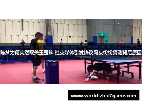 陈梦为何突然取关王楚钦 社交媒体引发热议网友纷纷猜测背后原因