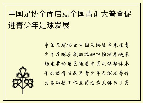 中国足协全面启动全国青训大普查促进青少年足球发展